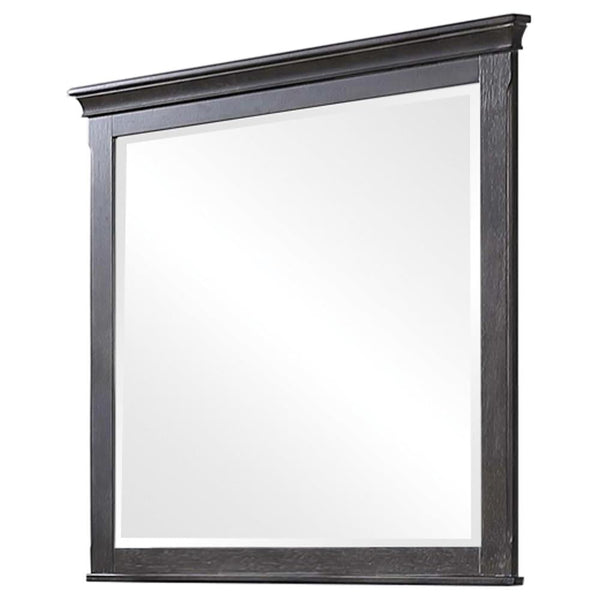 G205733 Mirror