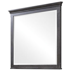 G205733 Mirror