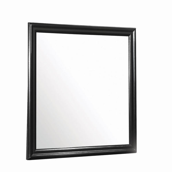 G212413 Mirror