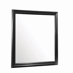 G212413 Mirror