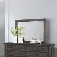G222883 Mirror
