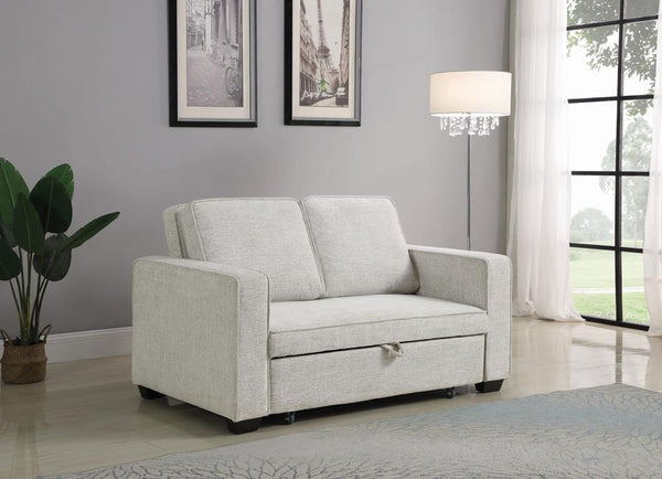 G508369 Sleeper Sofa Bed
