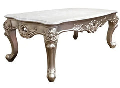 Ariel Transitional Sofa and Loveseat in Silver Wood Finish by Cosmos Furniture