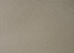 Lila Champagne Upholstered Panel Bedroom Set