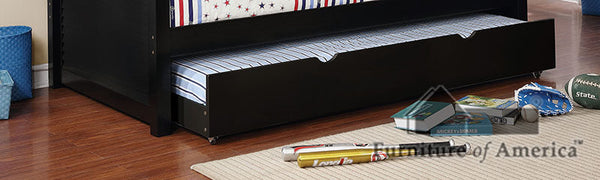 PRISMO Black Trundle