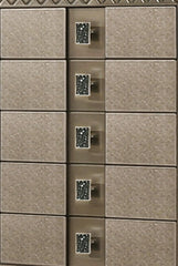 Coral Contemporary Style Chest in Bronze finish Wood