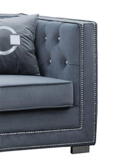 Zion Modern Style Gray Sofa with Steel legs