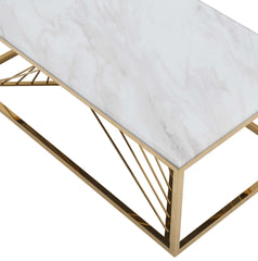 Samira Modern Style Marble Coffee Table with Metal Base
