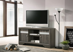 Regata Gray 55" TV Stand